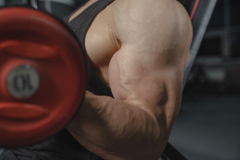 The Role of Strength Training in Muscle Gain and Weight Loss: A Comprehensive Guide