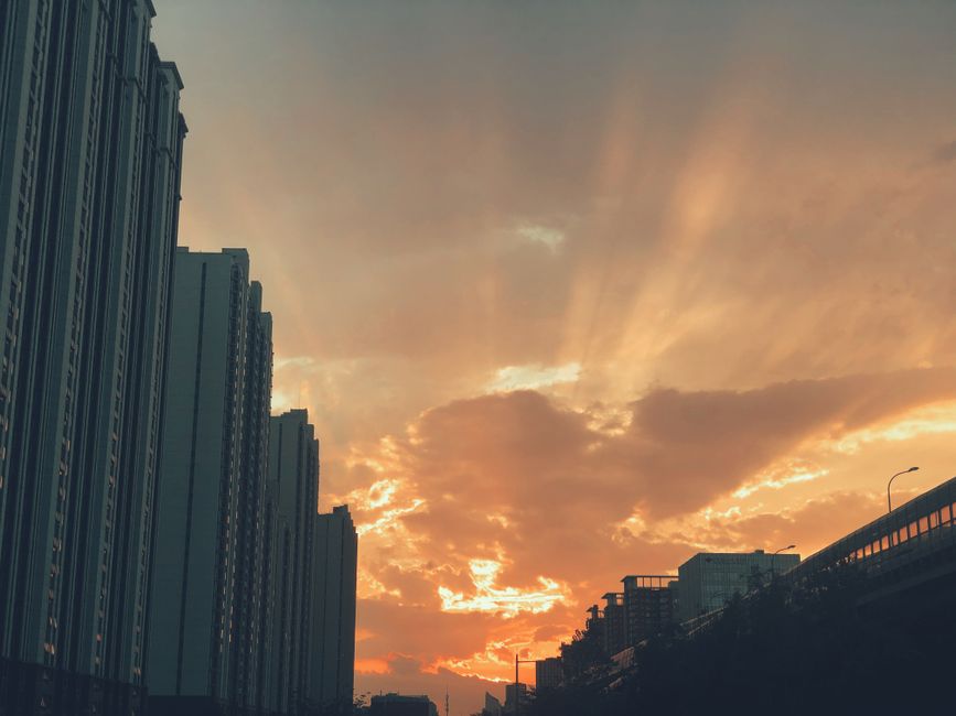 The Golden Hour: What to Do in the First 60 Minutes After Waking Up